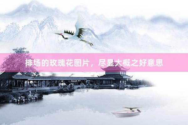 排场的玫瑰花图片，尽显大概之好意思
